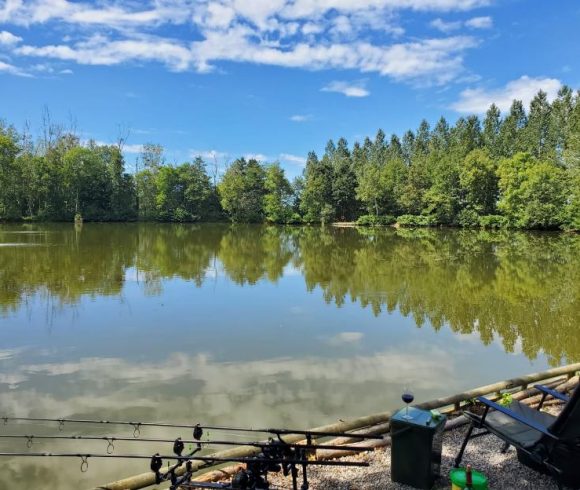 Bois de Printemps Image