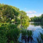 Woody’s Hooked in France Image