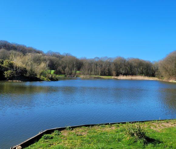Etang du St Brice Image