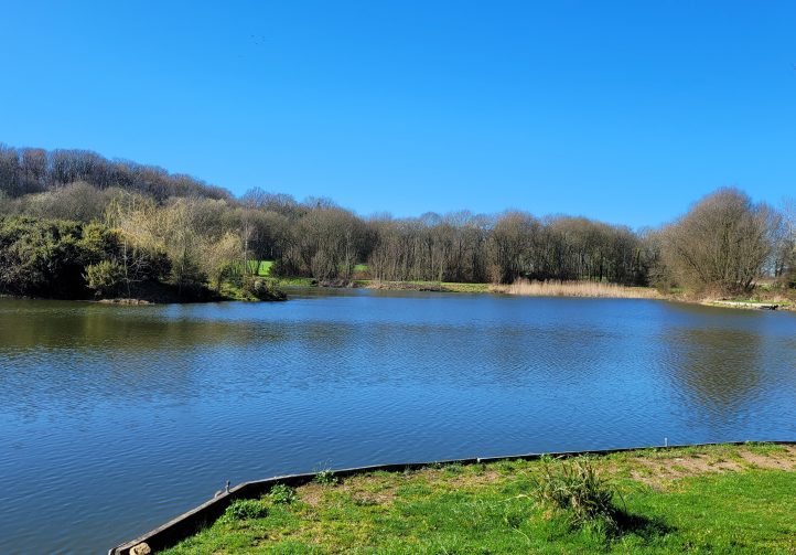 Etang du St Brice Image