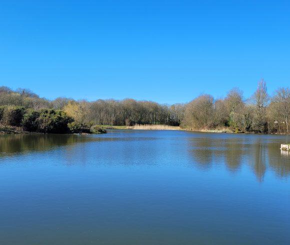 Etang du St Brice Image