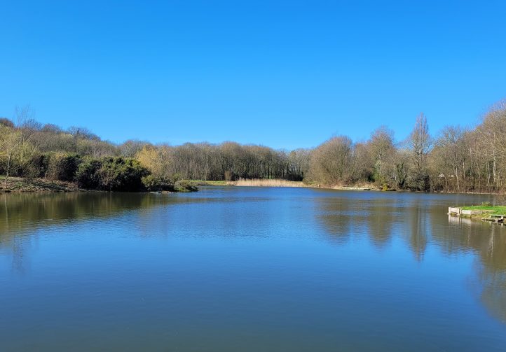 Etang du St Brice Image