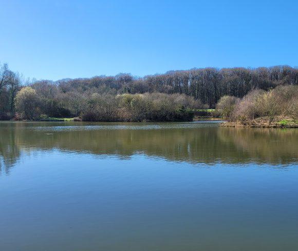 Etang du St Brice Image