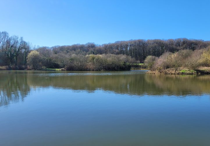 Etang du St Brice Image