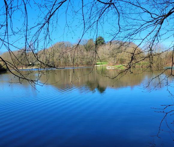 Etang du St Brice Image