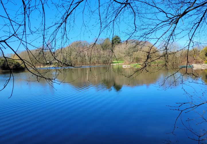 Etang du St Brice Image