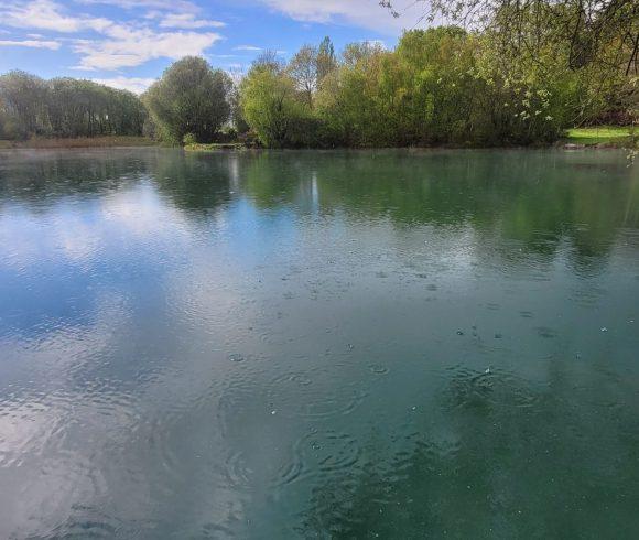 Etang du St Brice Image