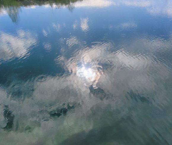 Etang du St Brice Image