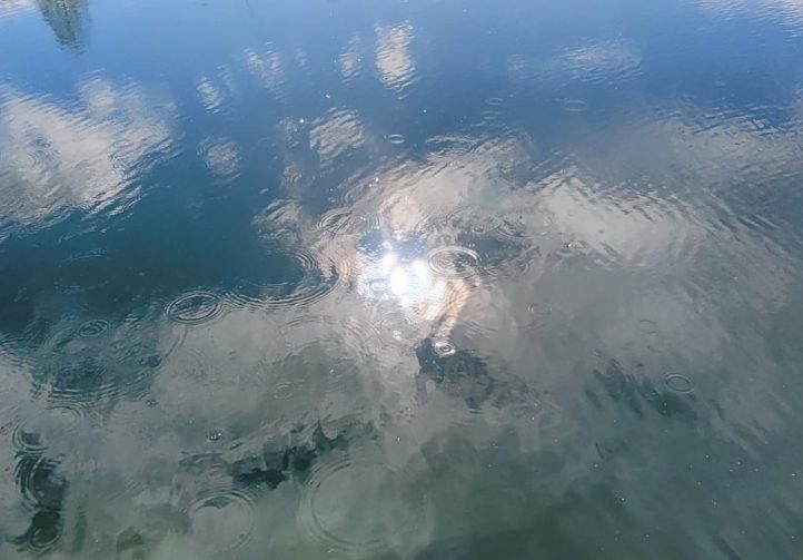 Etang du St Brice Image