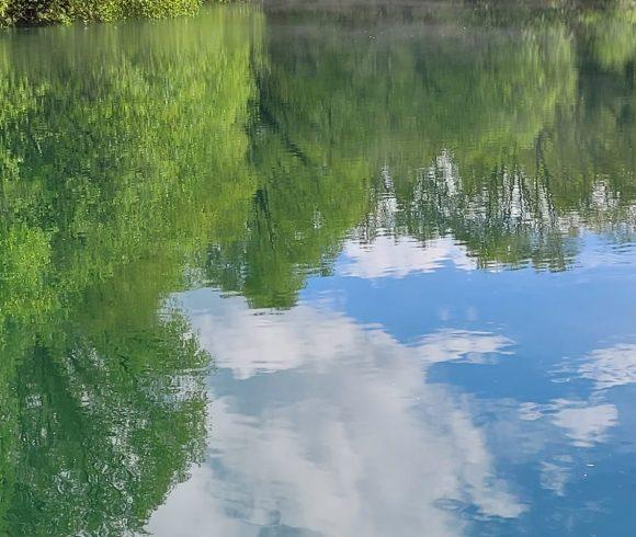Etang du St Brice Image