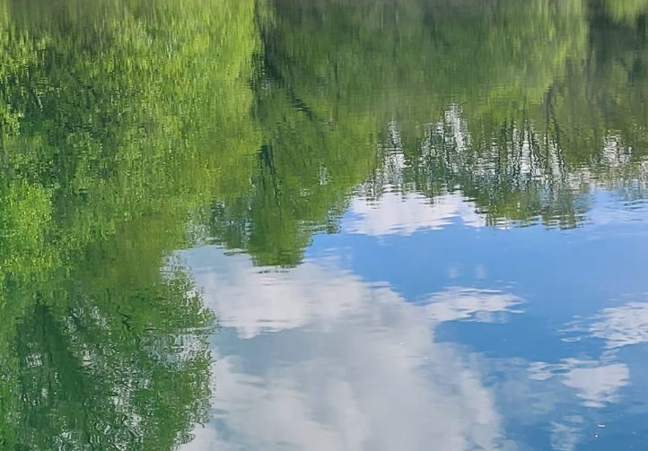 Etang du St Brice Image