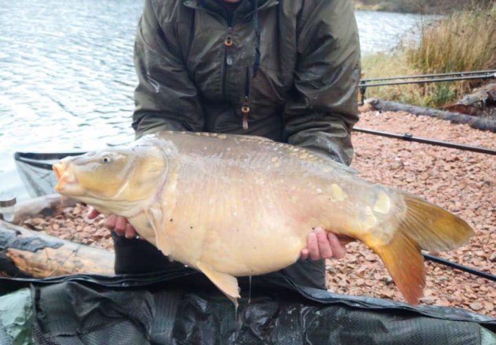 Etang de la Vilotte Image