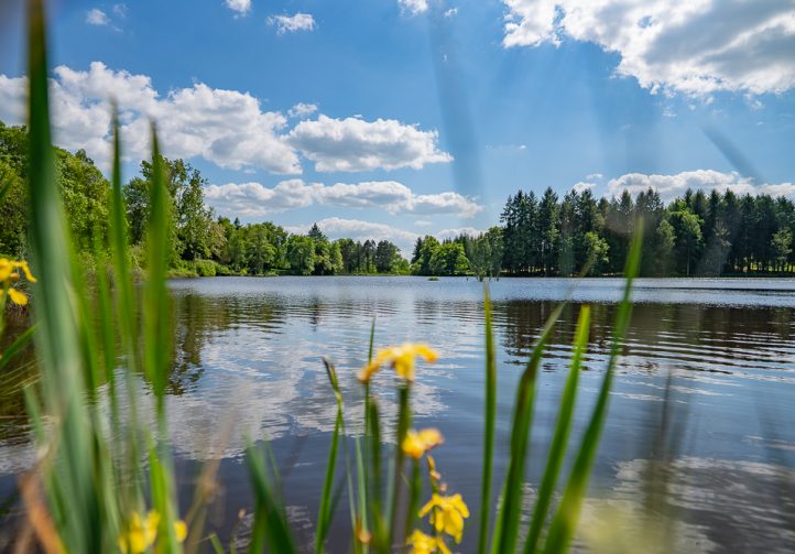 Lac de Mandeix Image