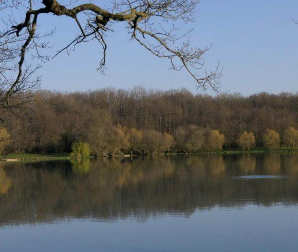 Rushes Lake Image