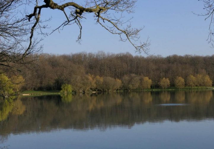 Rushes Lake Image