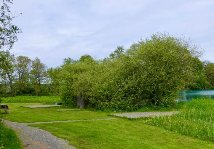 Rushes Lake Image