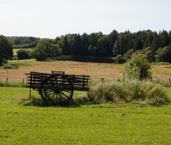 Hunnyfields Retreat Image