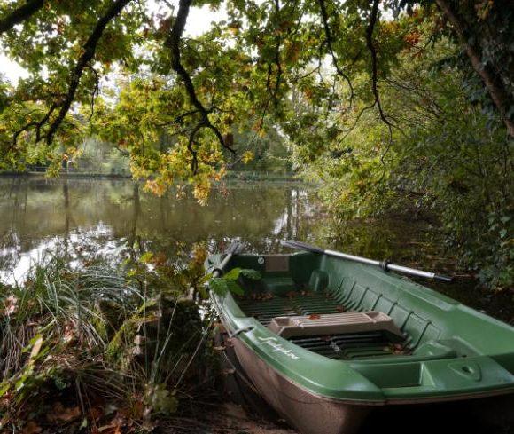 Blue Dart Carp Fishery Image