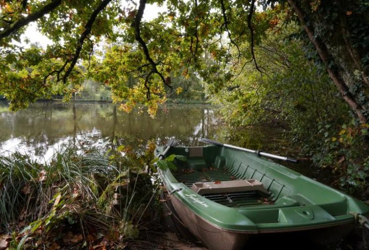 Blue Dart Carp Fishery Image