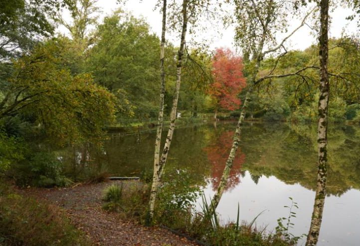 Blue Dart Carp Fishery Image