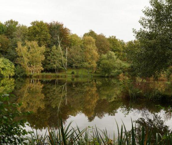 Blue Dart Carp Fishery Image