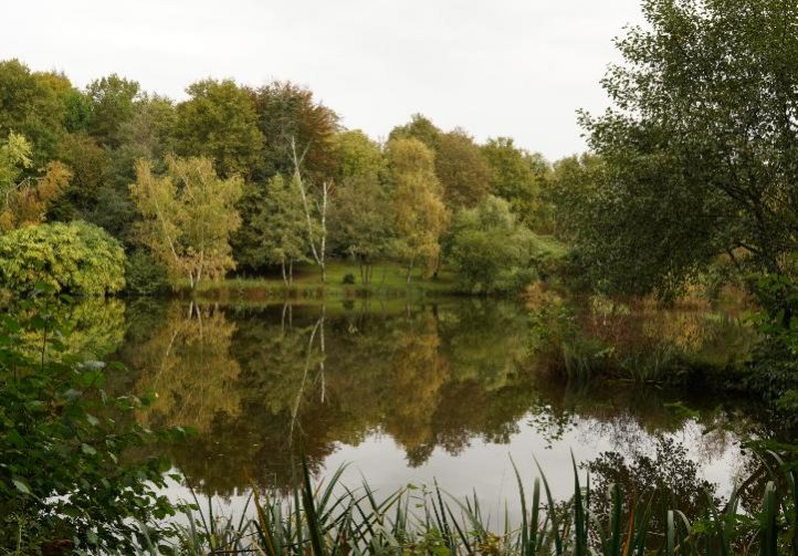 Blue Dart Carp Fishery Image