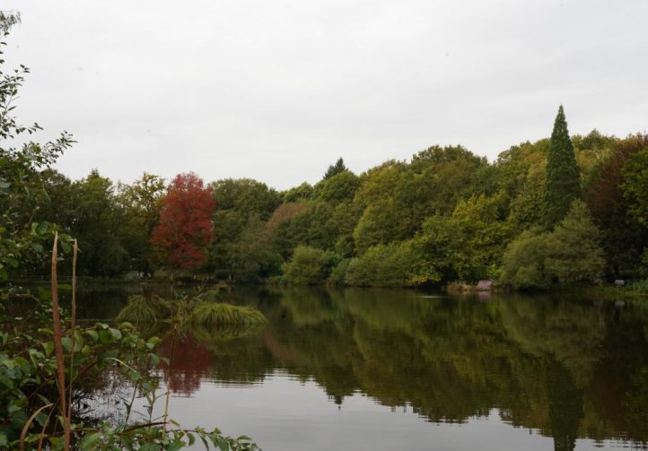 Blue Dart Carp Fishery Image