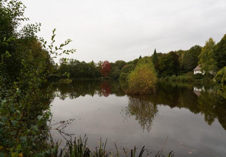 Blue Dart Carp Fishery Image