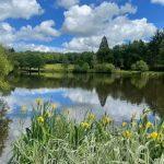 Blue Dart Carp Fishery Image