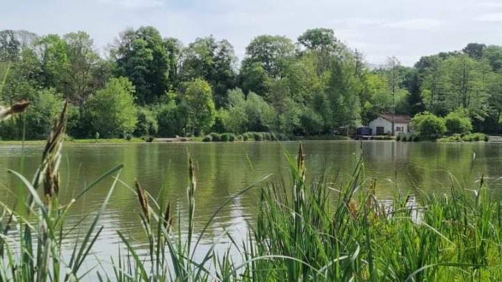 Hill House Lake Image