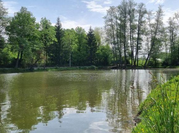 Hill House Lake Image