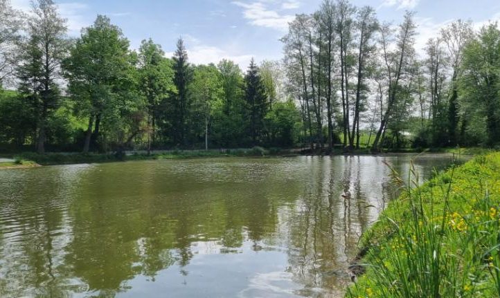Hill House Lake Image