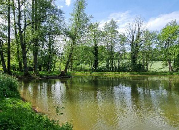 Hill House Lake Image
