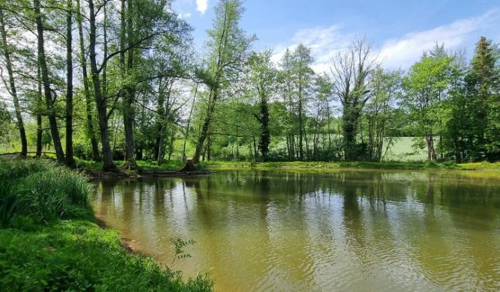 Hill House Lake Image