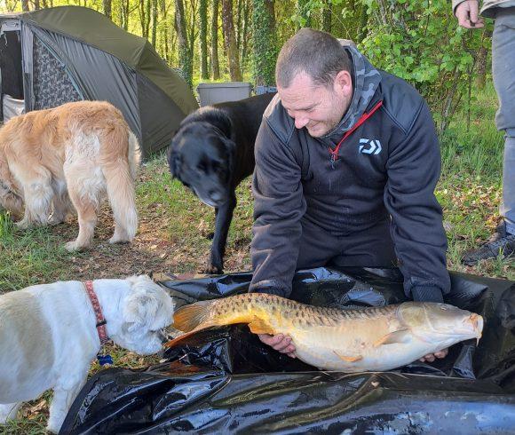 Wild Carp Fishing – River Vienne and Public Lakes Image