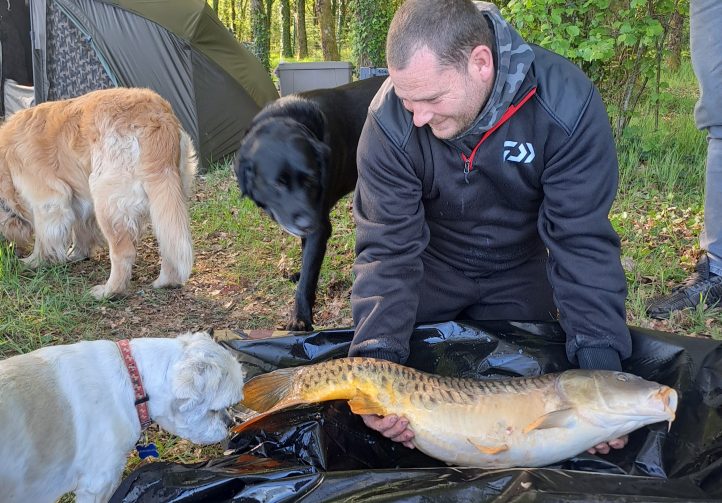 Wild Carp Fishing – River Vienne and Public Lakes Image