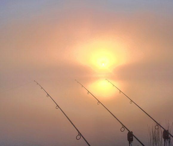 Wild Carp Fishing – River Vienne and Public Lakes Image