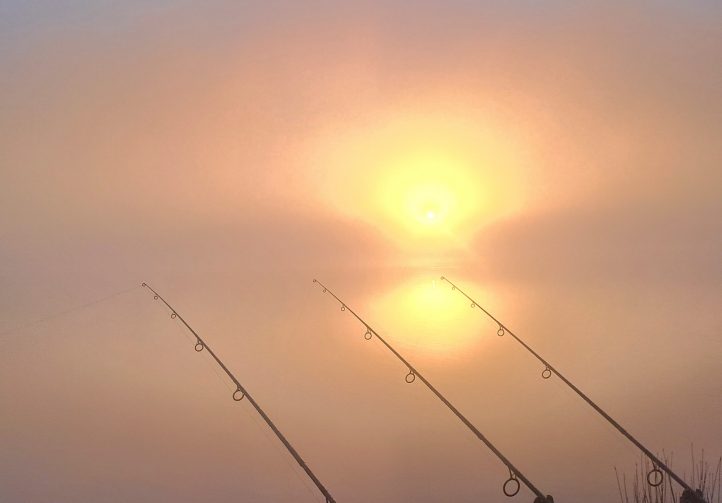 Wild Carp Fishing – River Vienne and Public Lakes Image