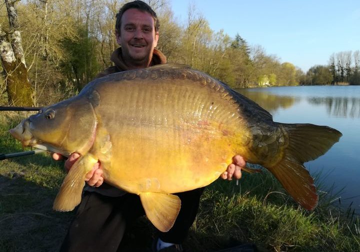 Wild Carp Fishing – River Vienne and Public Lakes Image