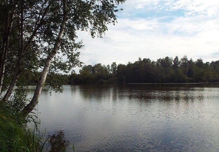 Lac Du Cygne Image