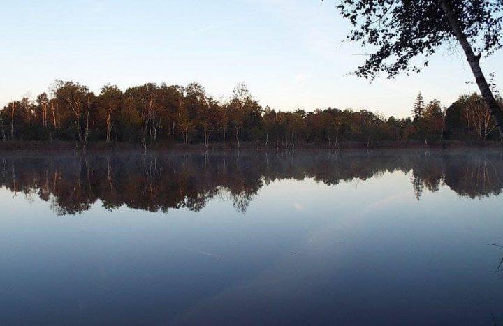 Lac Du Cygne: 16-08-2025 to 23-08-2025