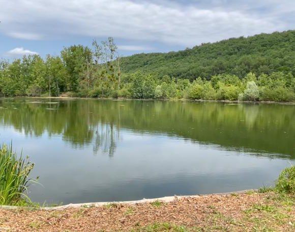 Domaine de Grand Felin Image