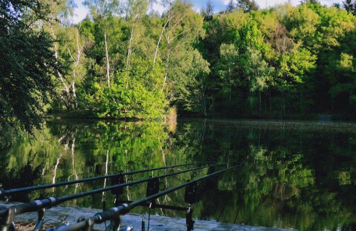 Spruce Lake: 24-08-2025 to 31-08-2025
