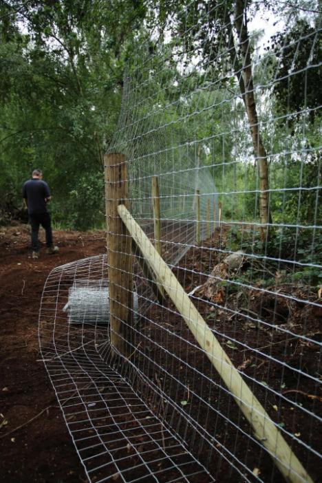 Erecting an otter fence
