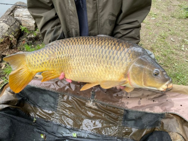 Lac Lucie – Carp France Fisheries – 25 May, 2024