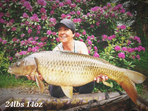 Blue Dart Carp Fishery – 25 May, 2024