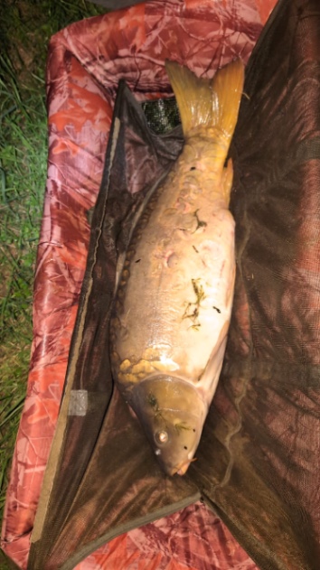 La Cour Carp Fishing: 01-06-2024 to 08-06-2024