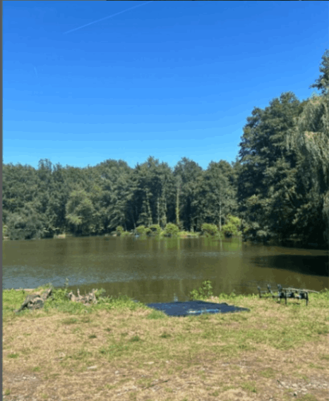 Kingfisher Lake – Carp France – 17 August, 2024