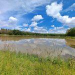 The Cottage Lake Image