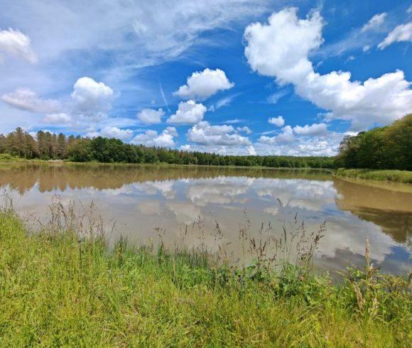 The Cottage Lake Image